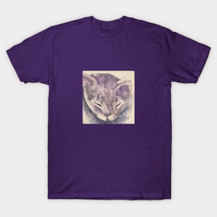 Sleepy gray kitty watercolor T-Shirt